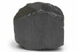 Terminated Black Tourmaline (Schorl) Crystal - Madagascar #217282-1